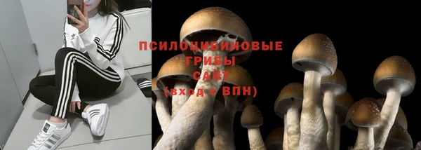 каннабис Алзамай