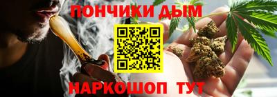 индика Апрелевка