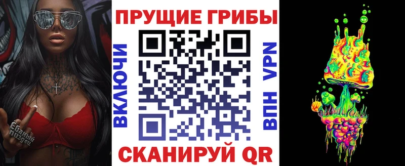 блэк спрут ссылка  Астрахань  Галлюциногенные грибы Psilocybine cubensis 
