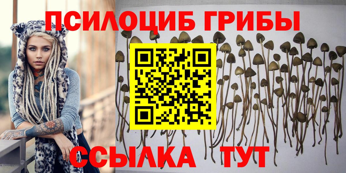Галлюциногенные грибы MAGIC MUSHROOMS Астрахань