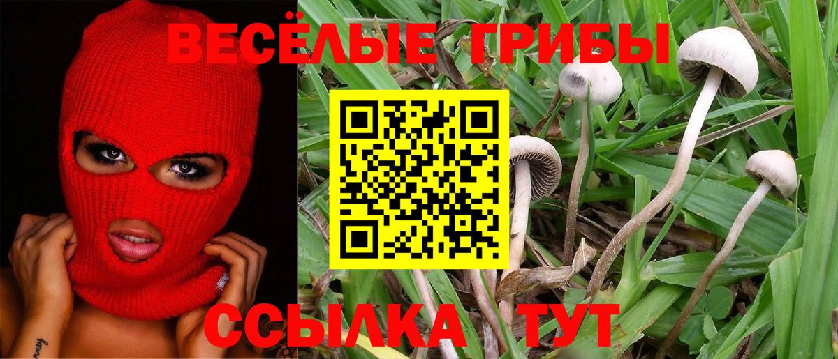 Астрахань  Галлюциногенные грибы мицелий  Вход с VPN  Галлюциногенные грибы GOLDEN TEACHER 