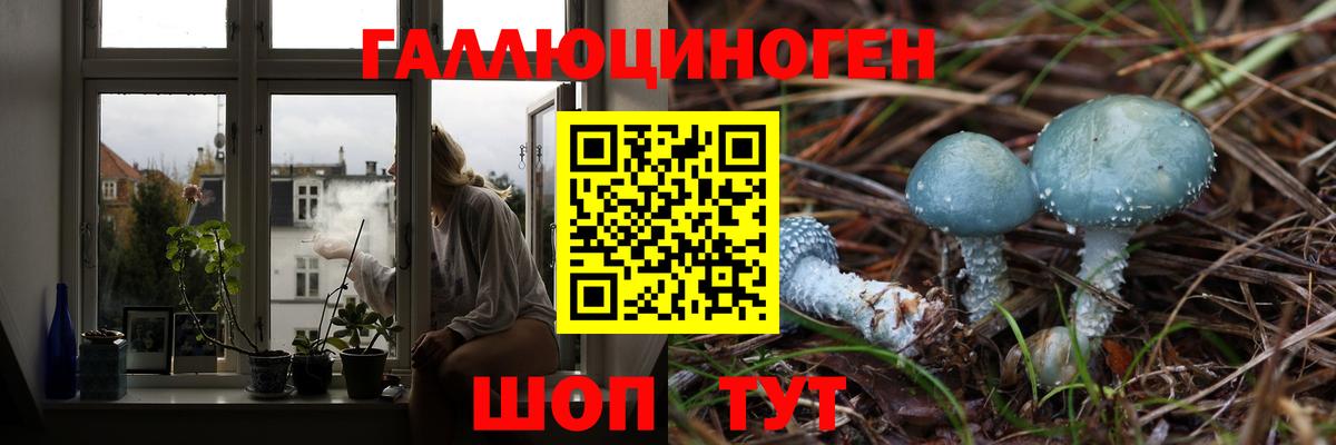 Конопля Астрахань